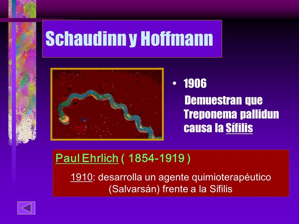 Schaudinn y Hoffmann Demuestran que Treponema pallidun causa la Sífilis. Paul Ehrlich ( )