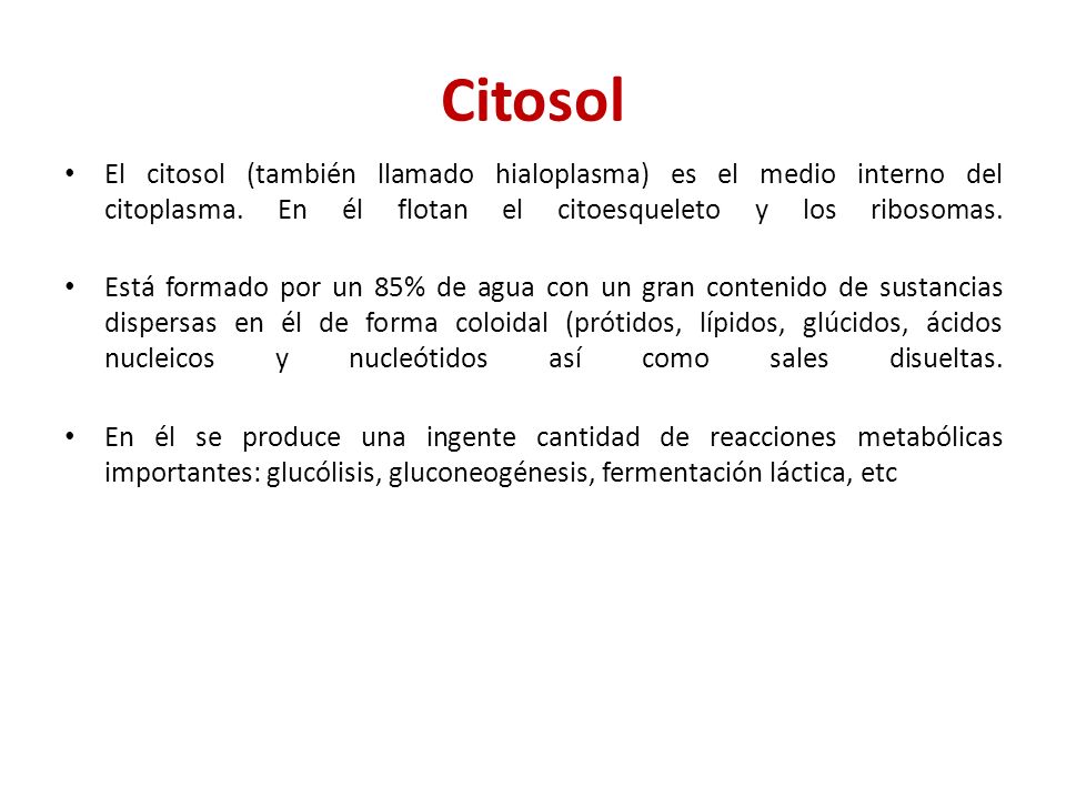 Citosol El citosol (también llamado hialoplasma) es el medio interno del citoplasma. En él flotan el citoesqueleto y los ribosomas.