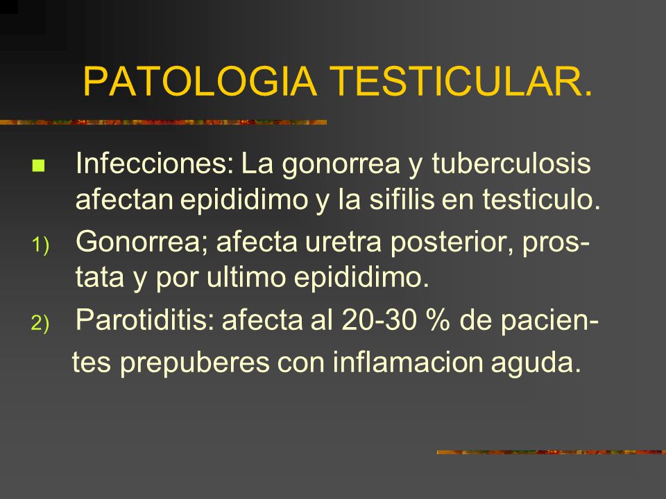 PATOLOGIA TESTICULAR. Infecciones: La gonorrea y tuberculosis afectan epididimo y la sifilis en testiculo.