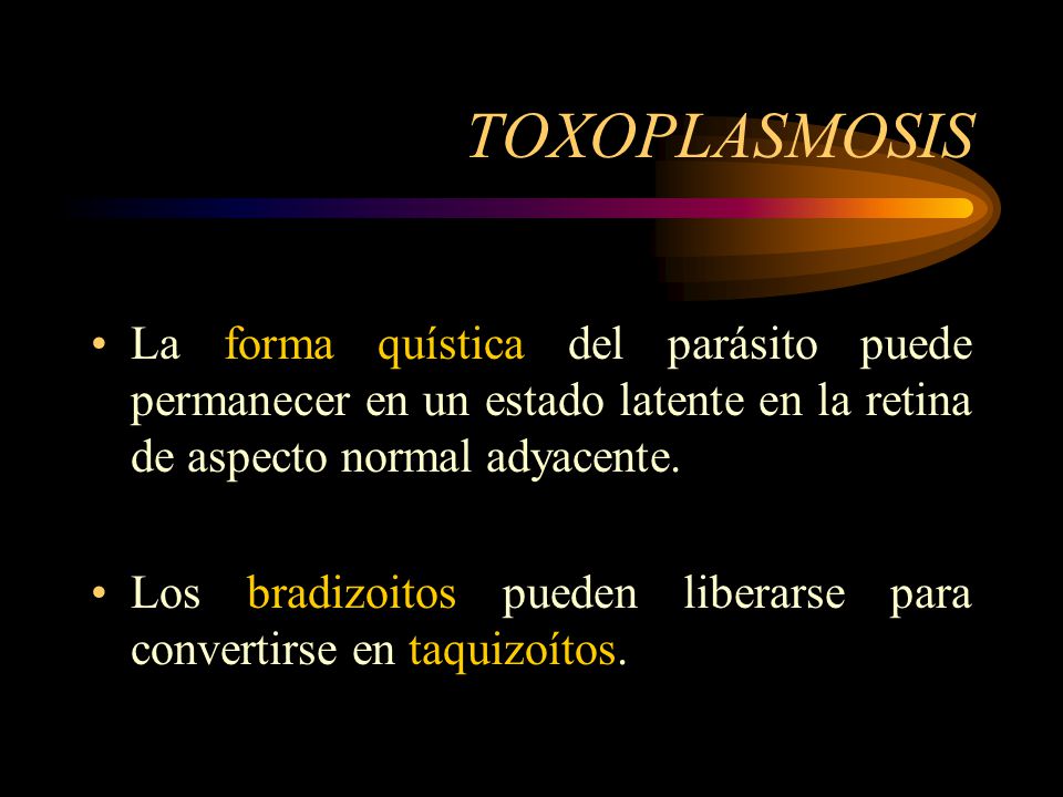 TOXOPLASMOSIS La forma quística del parásito puede permanecer en un estado latente en la retina de aspecto normal adyacente.