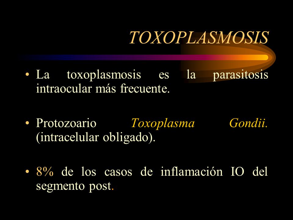 TOXOPLASMOSIS La toxoplasmosis es la parasitosis intraocular más frecuente. Protozoario Toxoplasma Gondii. (intracelular obligado).
