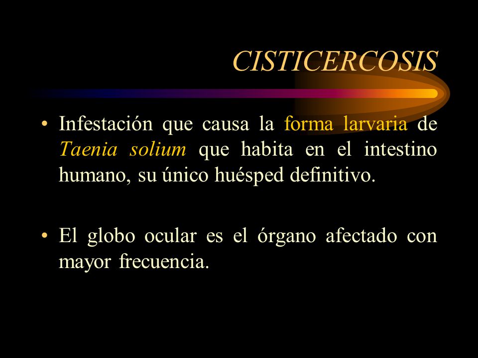 CISTICERCOSIS Infestación que causa la forma larvaria de Taenia solium que habita en el intestino humano, su único huésped definitivo.