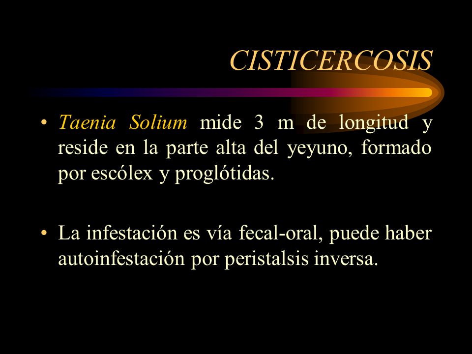 CISTICERCOSIS Taenia Solium mide 3 m de longitud y reside en la parte alta del yeyuno, formado por escólex y proglótidas.