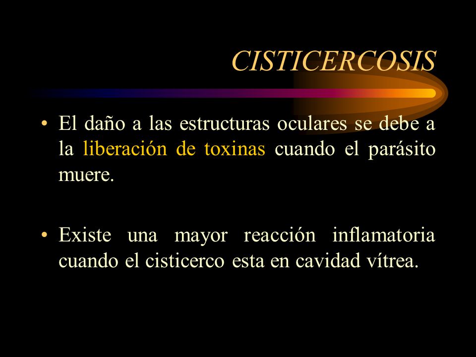 CISTICERCOSIS El daño a las estructuras oculares se debe a la liberación de toxinas cuando el parásito muere.