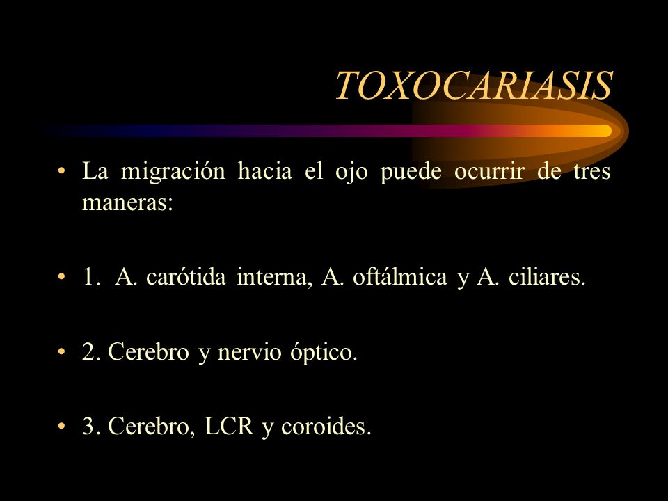 TOXOCARIASIS La migración hacia el ojo puede ocurrir de tres maneras:
