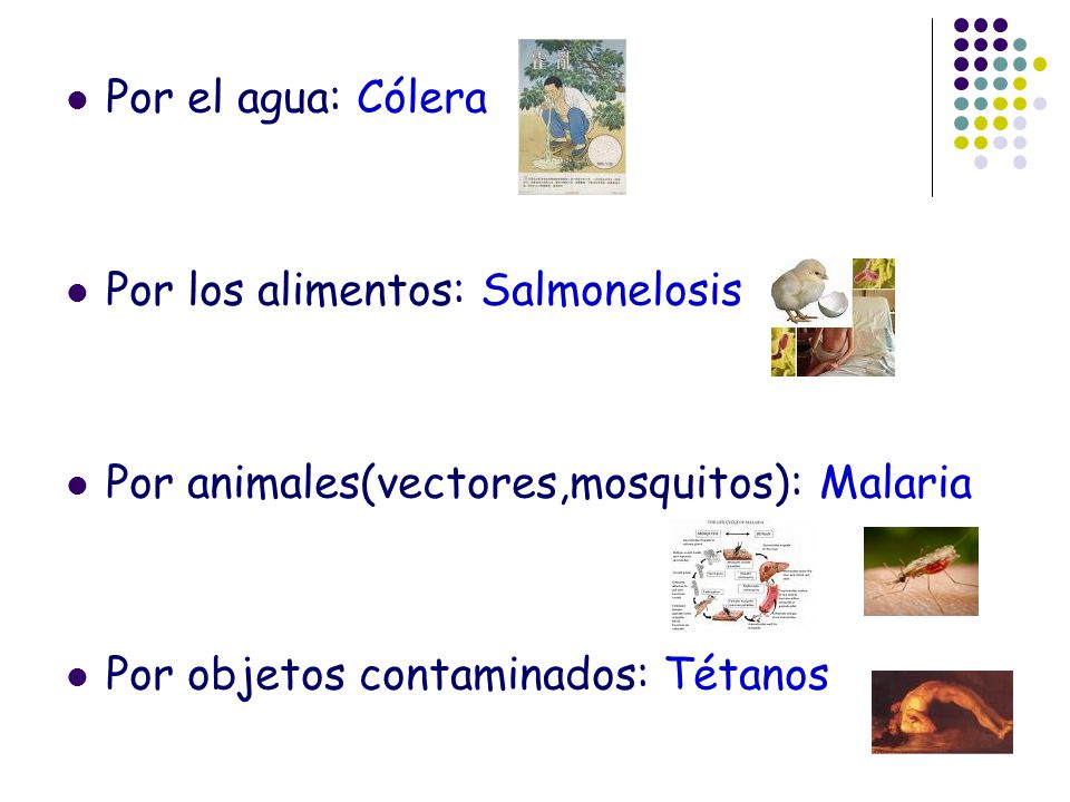 Por el agua: Cólera Por los alimentos: Salmonelosis.
