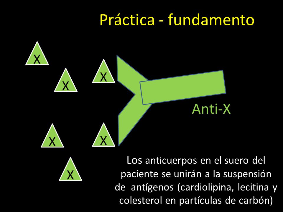 Práctica - fundamento Anti-X X X X X X X
