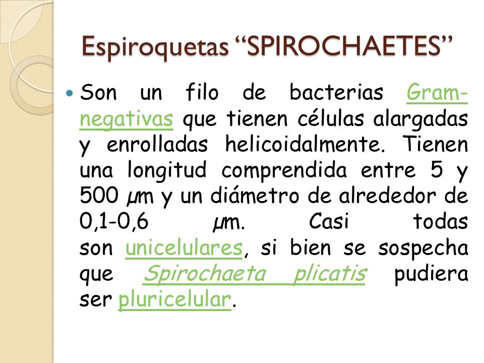 Espiroquetas SPIROCHAETES