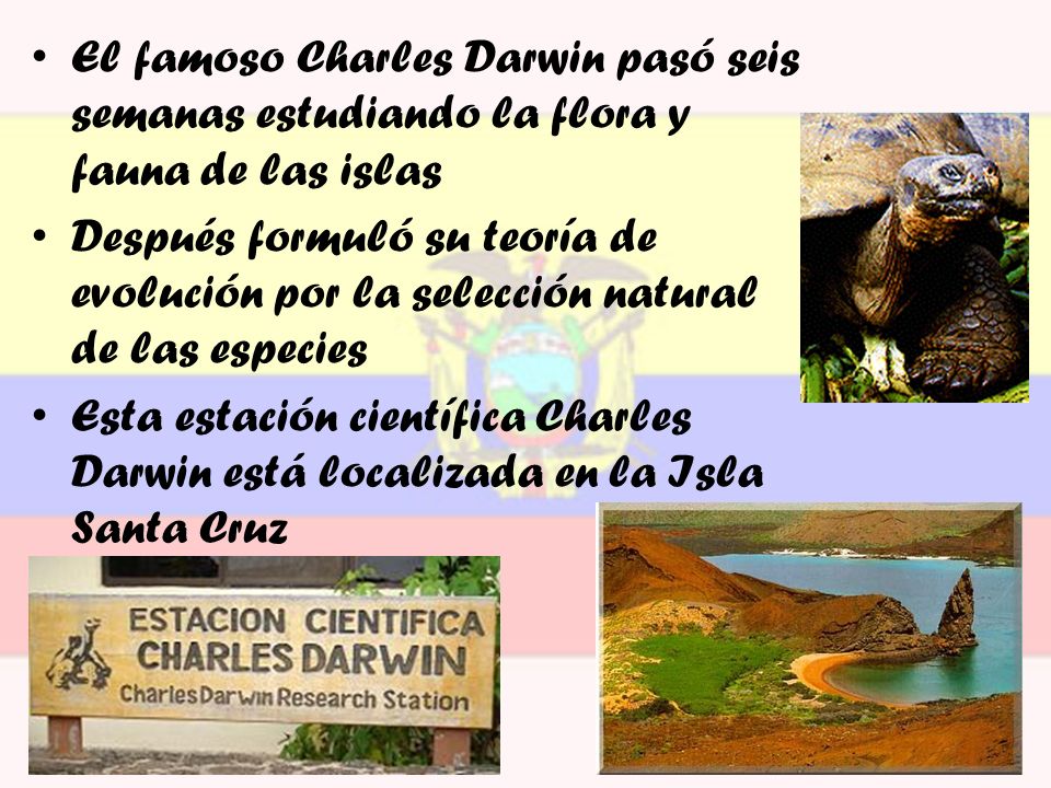 El famoso Charles Darwin pasó seis semanas estudiando la flora y fauna de las islas