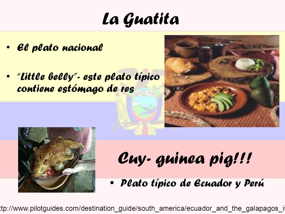 La Guatita Cuy- guinea pig!!! El plato nacional