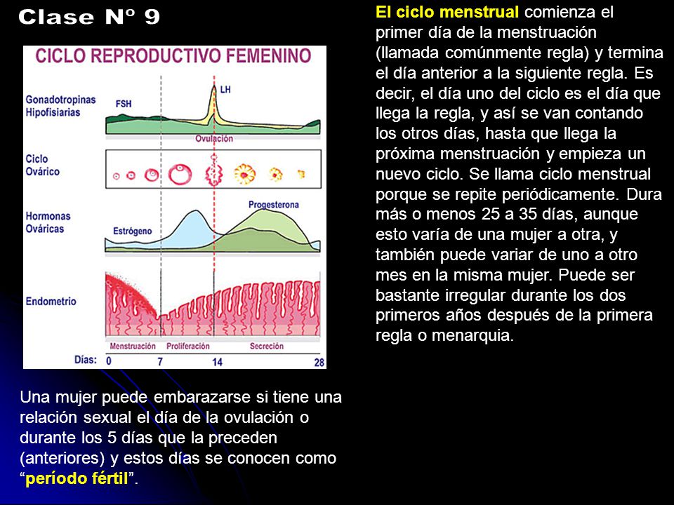El ciclo menstrual comienza el primer día de la menstruación (llamada comúnmente regla) y termina el día anterior a la siguiente regla. Es decir, el día uno del ciclo es el día que llega la regla, y así se van contando los otros días, hasta que llega la próxima menstruación y empieza un nuevo ciclo. Se llama ciclo menstrual porque se repite periódicamente. Dura más o menos 25 a 35 días, aunque esto varía de una mujer a otra, y también puede variar de uno a otro mes en la misma mujer. Puede ser bastante irregular durante los dos primeros años después de la primera regla o menarquia.