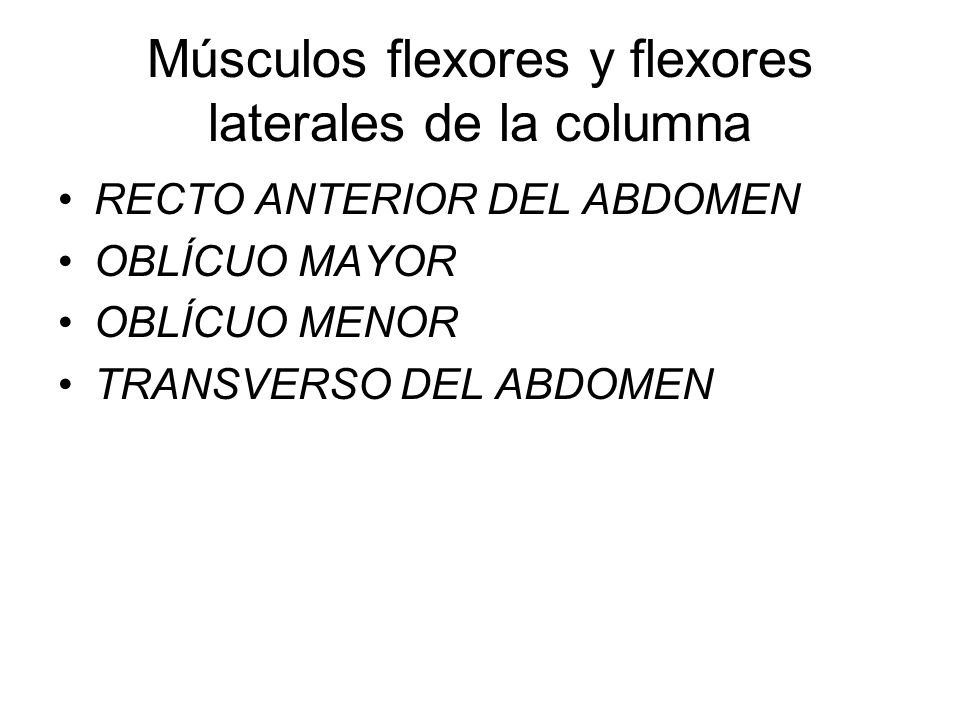 Músculos flexores y flexores laterales de la columna