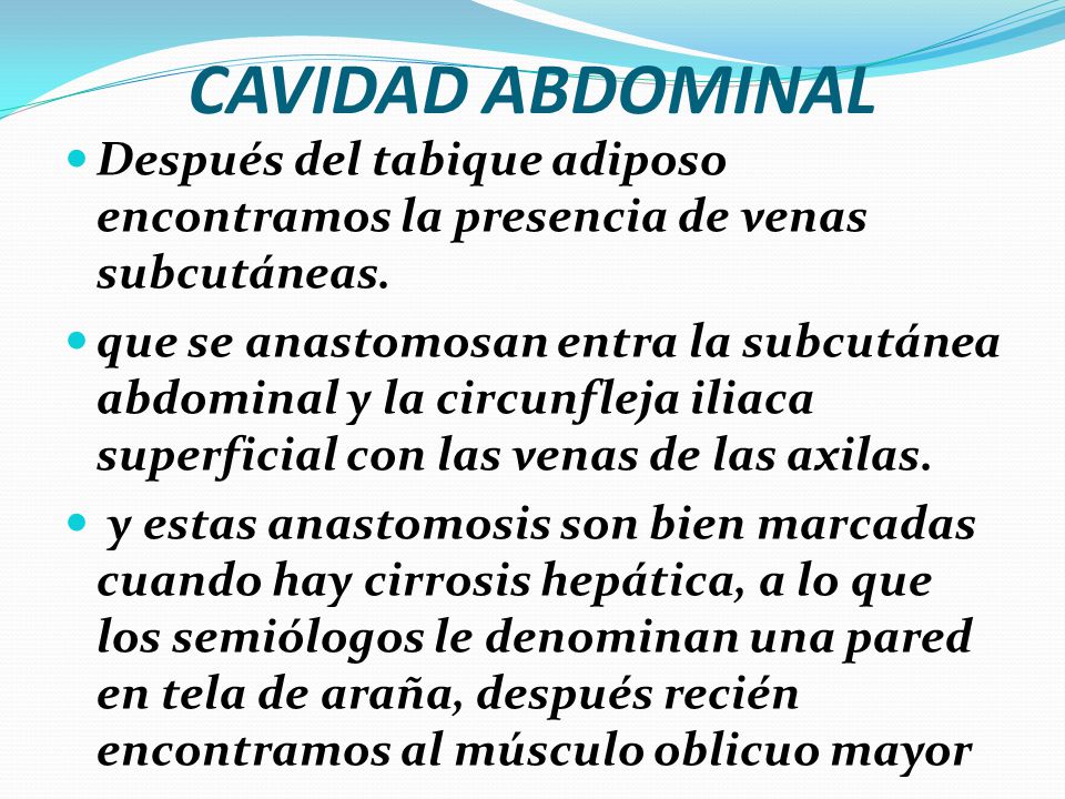 CAVIDAD ABDOMINAL Después del tabique adiposo encontramos la presencia de venas subcutáneas.