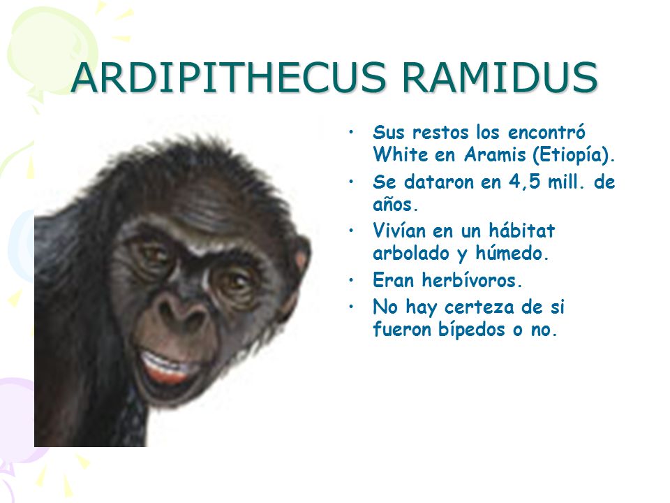 ARDIPITHECUS RAMIDUS Sus restos los encontró White en Aramis (Etiopía). Se dataron en 4,5 mill. de años.
