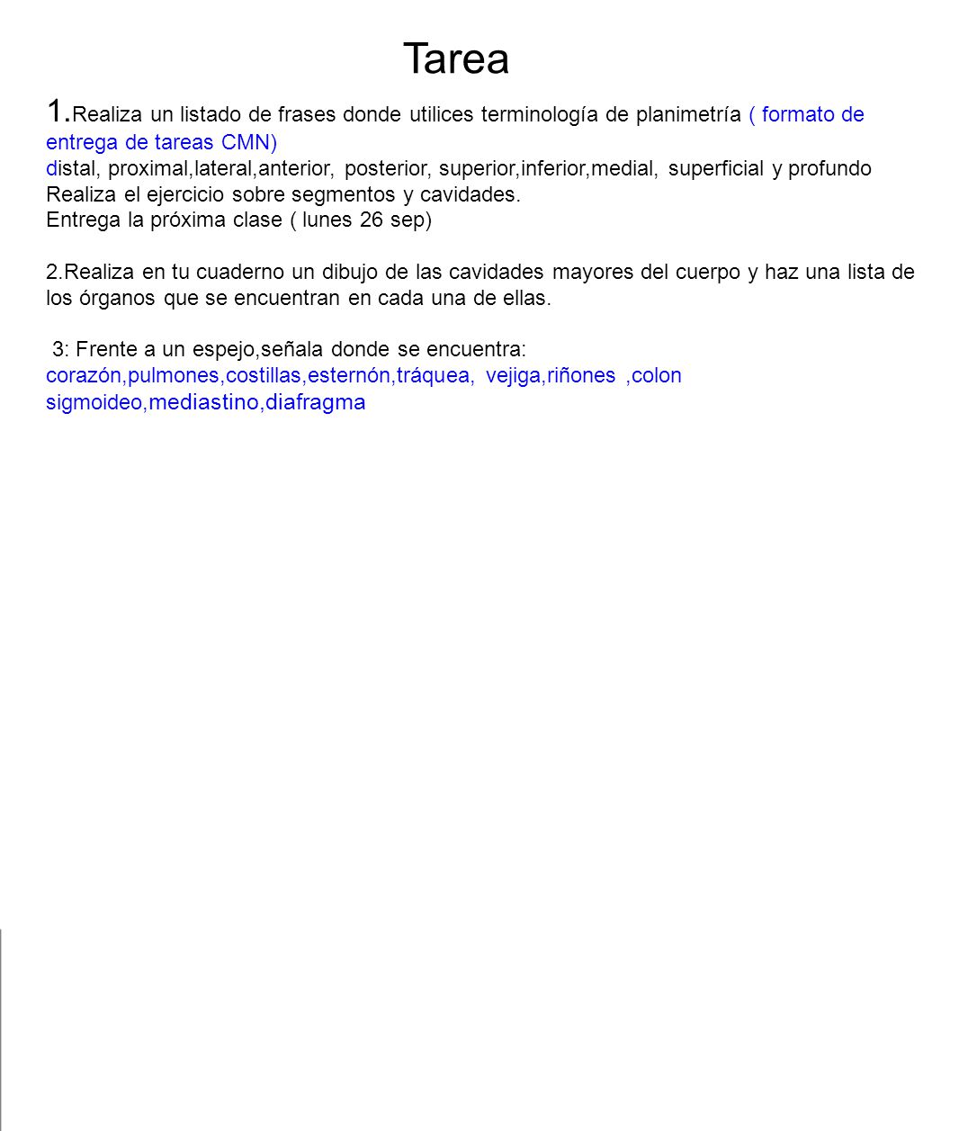 Tarea 1.Realiza un listado de frases donde utilices terminología de planimetría ( formato de entrega de tareas CMN)