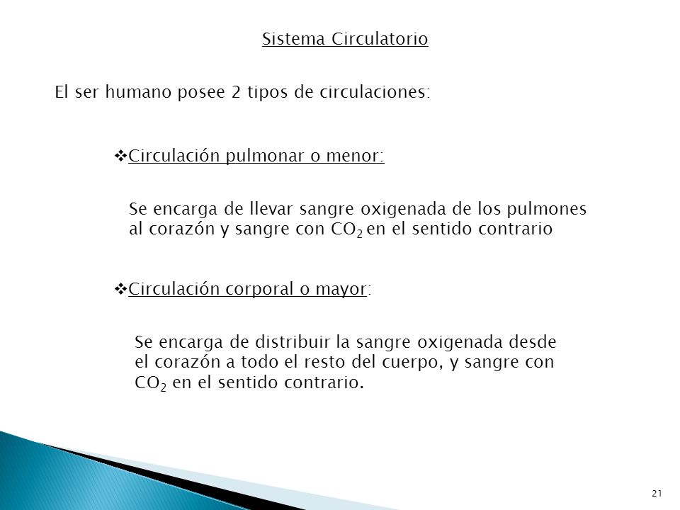 Sistema Circulatorio El ser humano posee 2 tipos de circulaciones: Circulación pulmonar o menor: