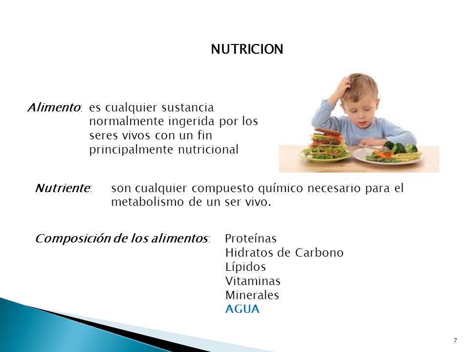 NUTRICION Alimento: es cualquier sustancia normalmente ingerida por los seres vivos con un fin principalmente nutricional.