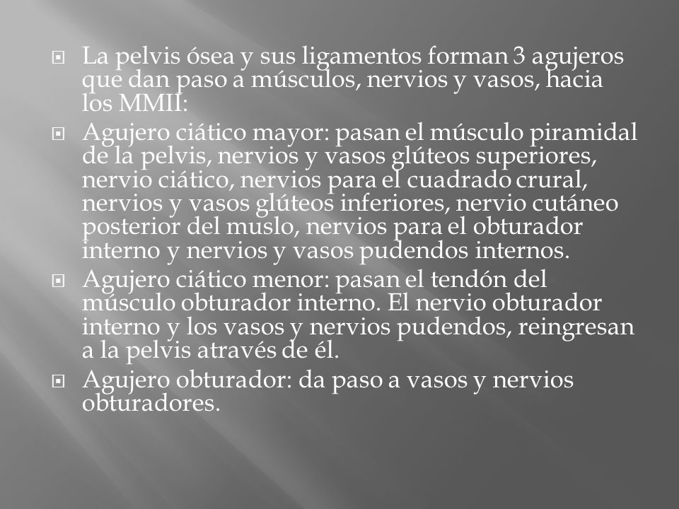 La pelvis ósea y sus ligamentos forman 3 agujeros que dan paso a músculos, nervios y vasos, hacia los MMII: