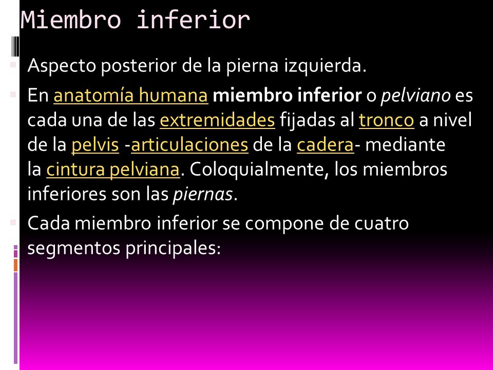 Miembro inferior Aspecto posterior de la pierna izquierda.