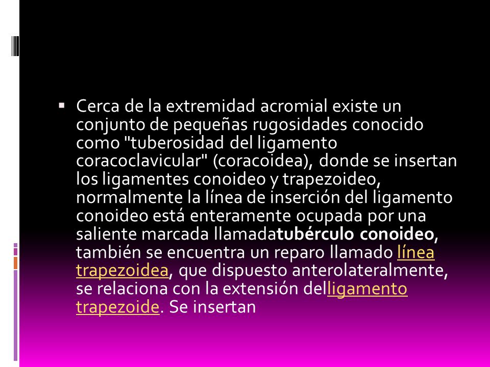Cerca de la extremidad acromial existe un conjunto de pequeñas rugosidades conocido como tuberosidad del ligamento coracoclavicular (coracoidea), donde se insertan los ligamentes conoideo y trapezoideo, normalmente la línea de inserción del ligamento conoideo está enteramente ocupada por una saliente marcada llamadatubérculo conoideo, también se encuentra un reparo llamado línea trapezoidea, que dispuesto anterolateralmente, se relaciona con la extensión delligamento trapezoide.