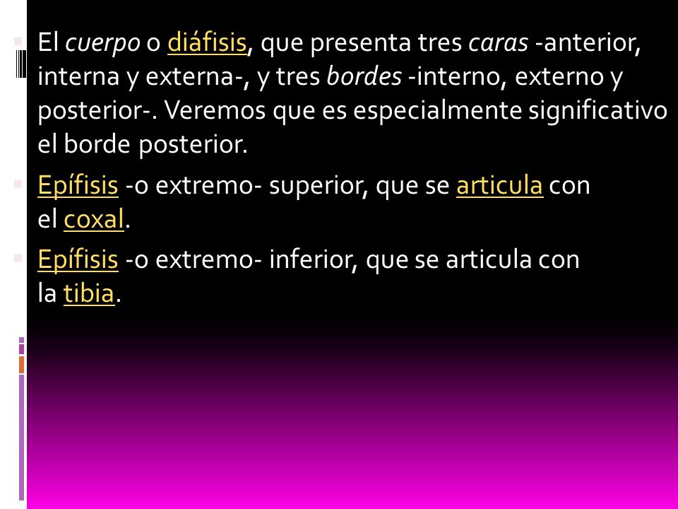 El cuerpo o diáfisis, que presenta tres caras -anterior, interna y externa-, y tres bordes -interno, externo y posterior-. Veremos que es especialmente significativo el borde posterior.