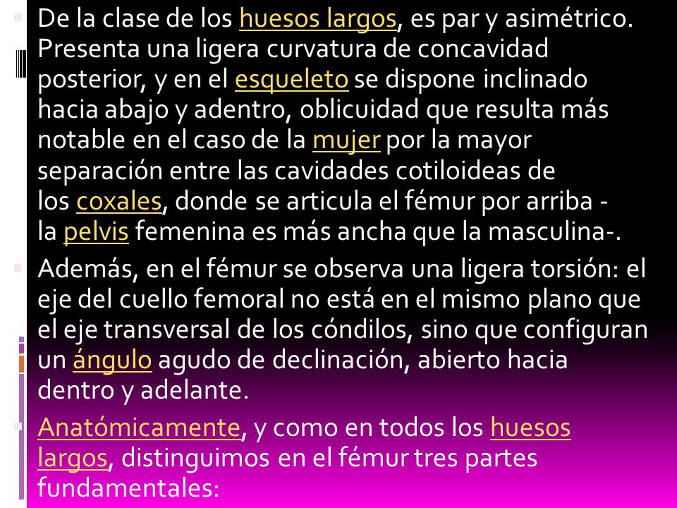 De la clase de los huesos largos, es par y asimétrico