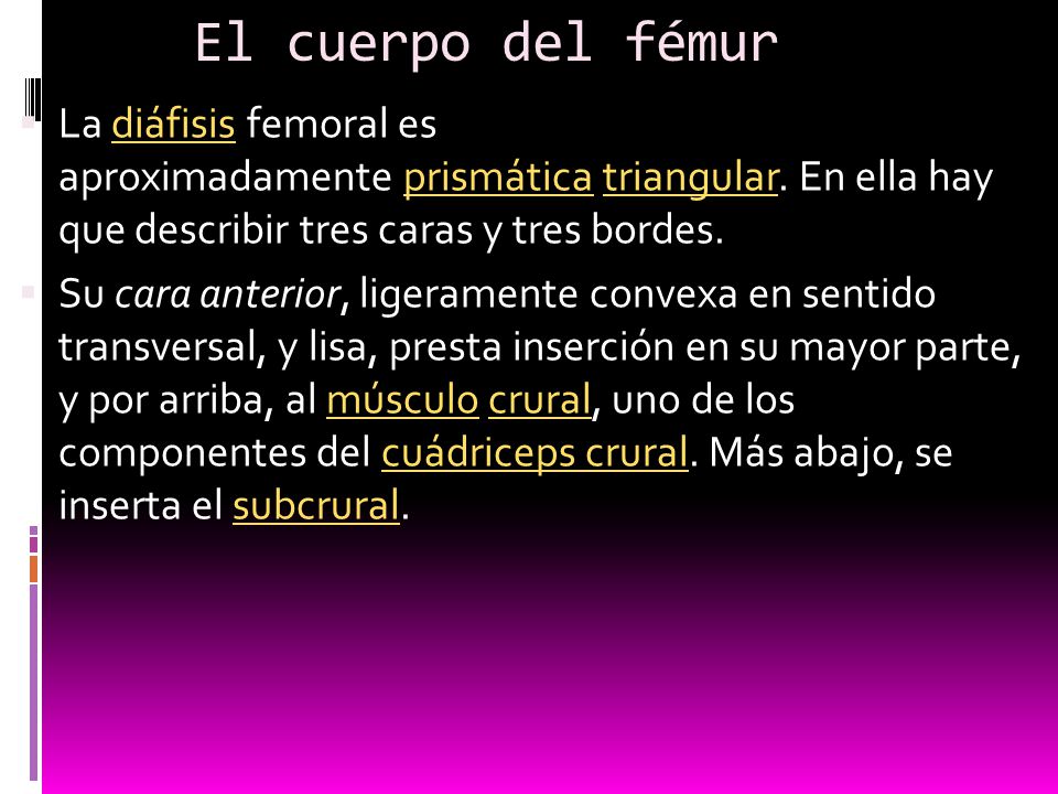 El cuerpo del fémur La diáfisis femoral es aproximadamente prismática triangular. En ella hay que describir tres caras y tres bordes.