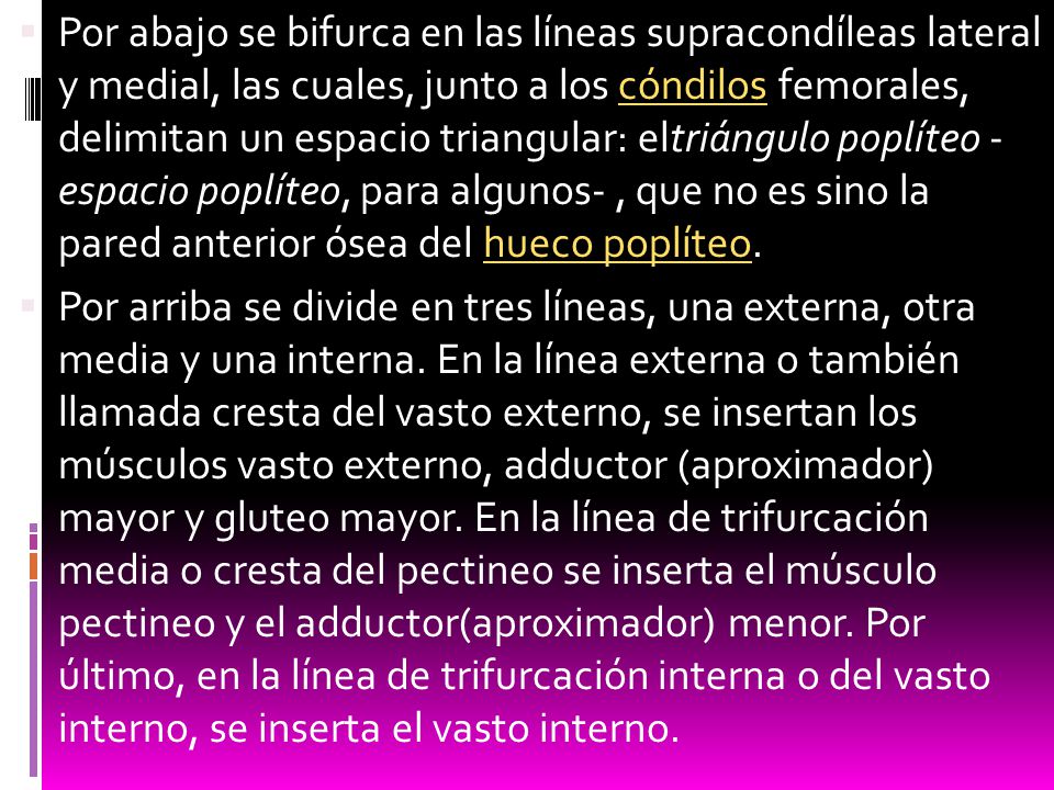 Por abajo se bifurca en las líneas supracondíleas lateral y medial, las cuales, junto a los cóndilos femorales, delimitan un espacio triangular: eltriángulo poplíteo - espacio poplíteo, para algunos- , que no es sino la pared anterior ósea del hueco poplíteo.