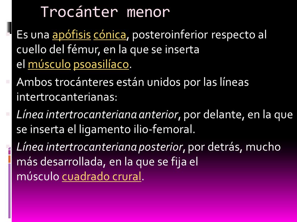 Trocánter menor Es una apófisis cónica, posteroinferior respecto al cuello del fémur, en la que se inserta el músculo psoasilíaco.