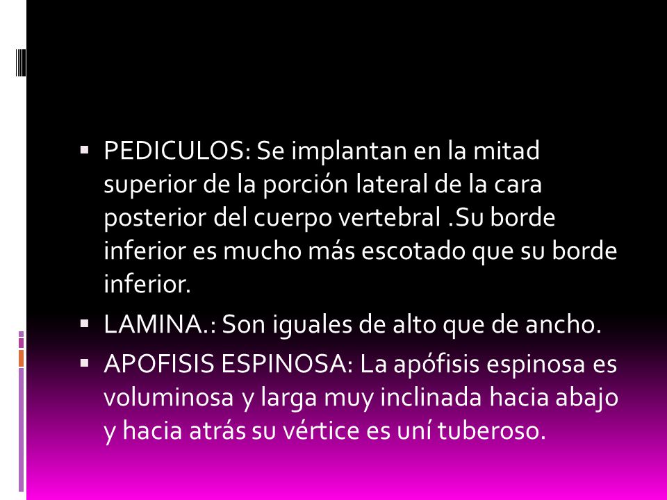 PEDICULOS: Se implantan en la mitad superior de la porción lateral de la cara posterior del cuerpo vertebral .Su borde inferior es mucho más escotado que su borde inferior.