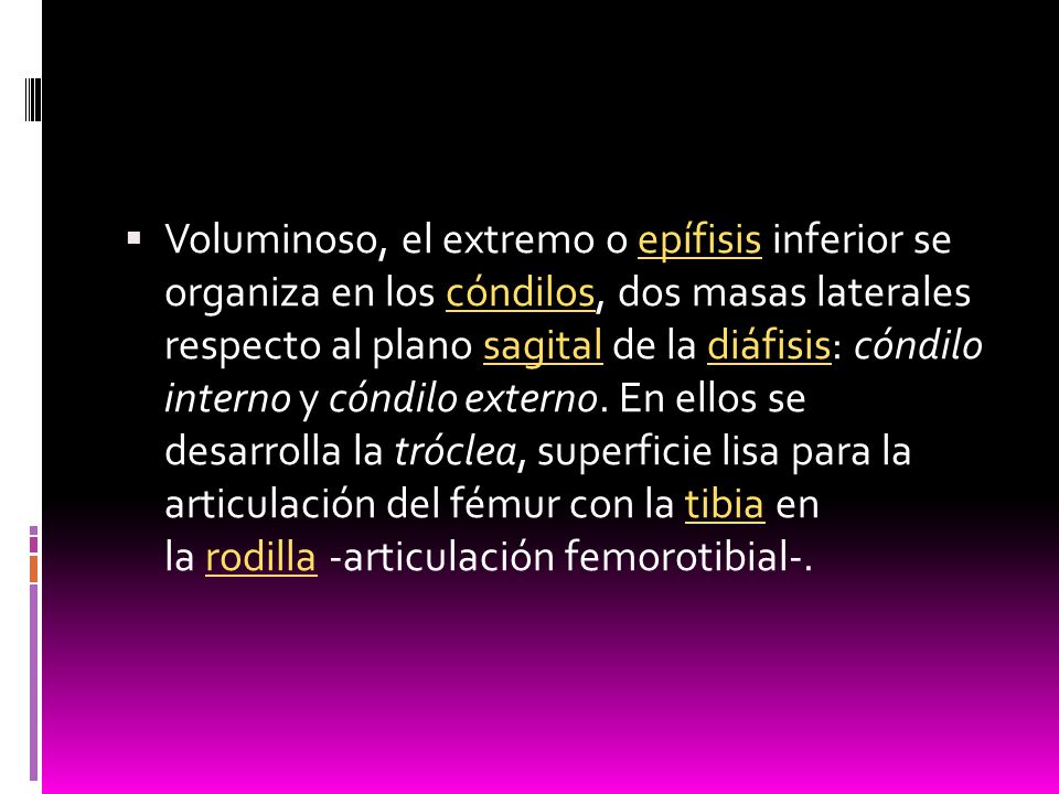 Voluminoso, el extremo o epífisis inferior se organiza en los cóndilos, dos masas laterales respecto al plano sagital de la diáfisis: cóndilo interno y cóndilo externo.