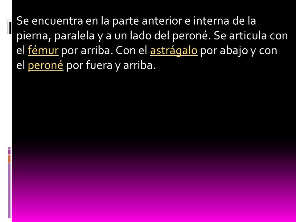 Se encuentra en la parte anterior e interna de la pierna, paralela y a un lado del peroné.