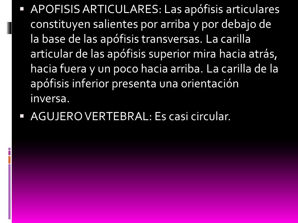 APOFISIS ARTICULARES: Las apófisis articulares constituyen salientes por arriba y por debajo de la base de las apófisis transversas. La carilla articular de las apófisis superior mira hacia atrás, hacia fuera y un poco hacia arriba. La carilla de la apófisis inferior presenta una orientación inversa.