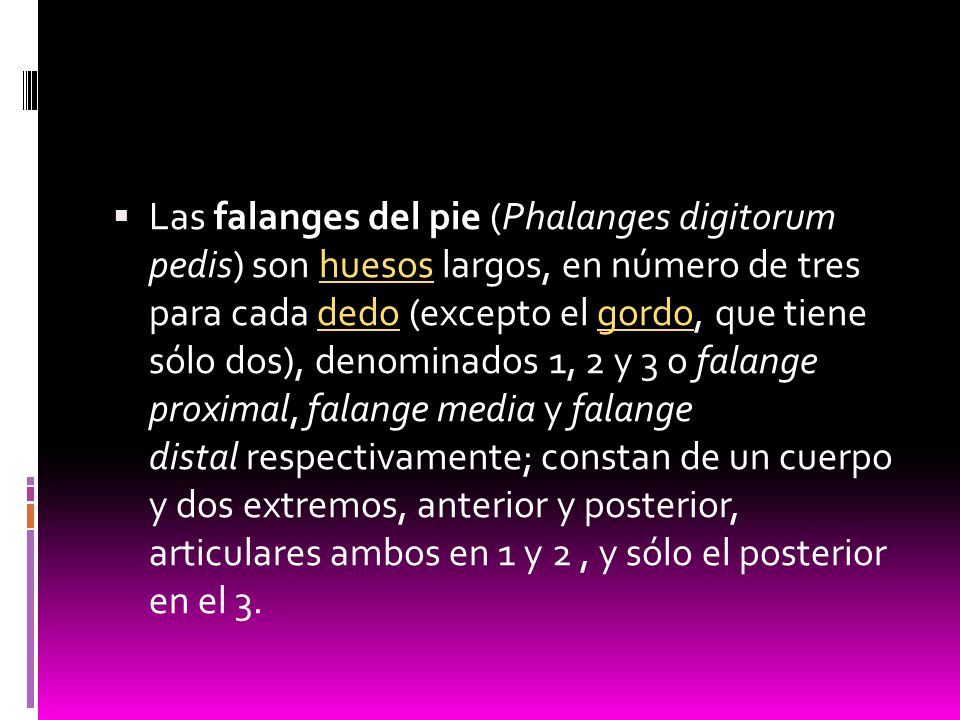 Las falanges del pie (Phalanges digitorum pedis) son huesos largos, en número de tres para cada dedo (excepto el gordo, que tiene sólo dos), denominados 1, 2 y 3 o falange proximal, falange media y falange distal respectivamente; constan de un cuerpo y dos extremos, anterior y posterior, articulares ambos en 1 y 2 , y sólo el posterior en el 3.