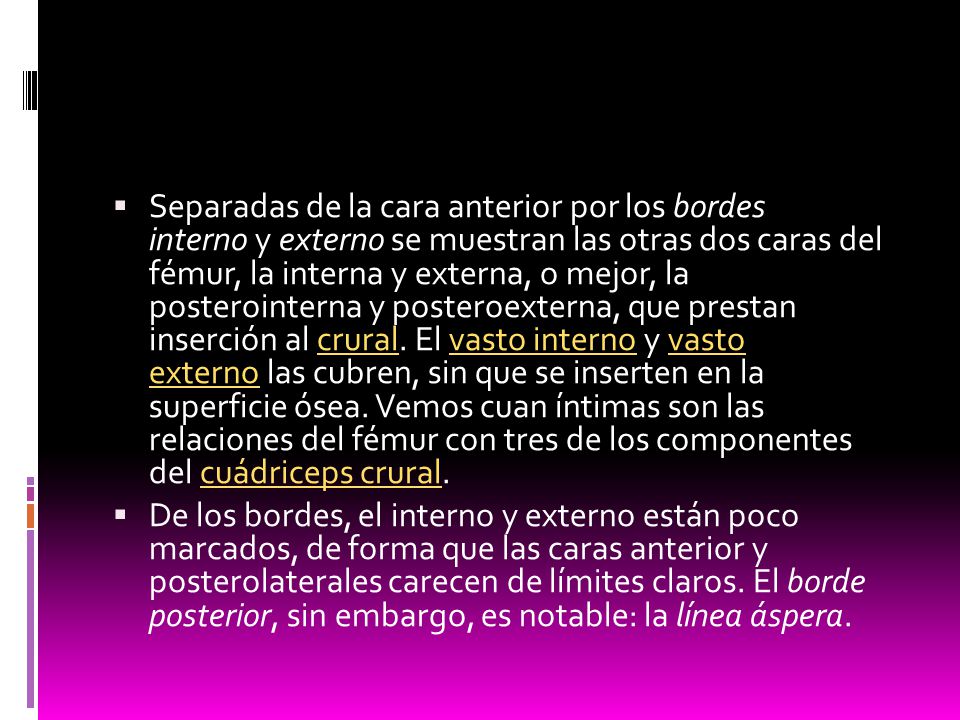 Separadas de la cara anterior por los bordes interno y externo se muestran las otras dos caras del fémur, la interna y externa, o mejor, la posterointerna y posteroexterna, que prestan inserción al crural. El vasto interno y vasto externo las cubren, sin que se inserten en la superficie ósea. Vemos cuan íntimas son las relaciones del fémur con tres de los componentes del cuádriceps crural.