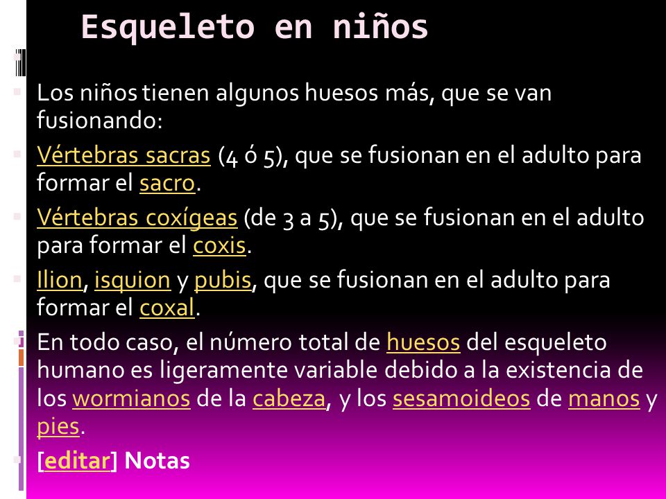 Esqueleto en niños Los niños tienen algunos huesos más, que se van fusionando: