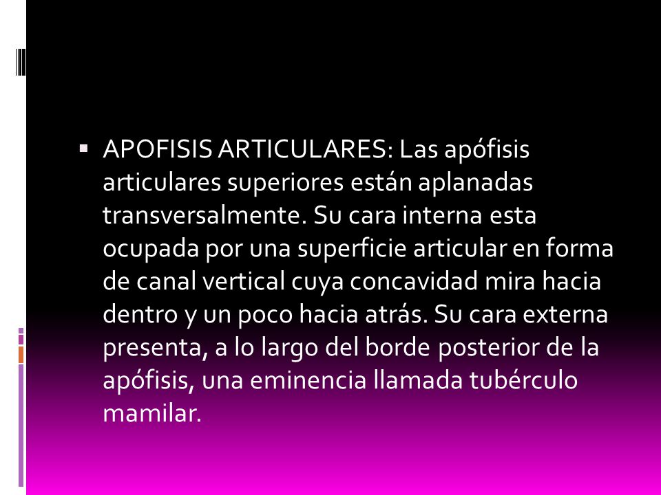 APOFISIS ARTICULARES: Las apófisis articulares superiores están aplanadas transversalmente.