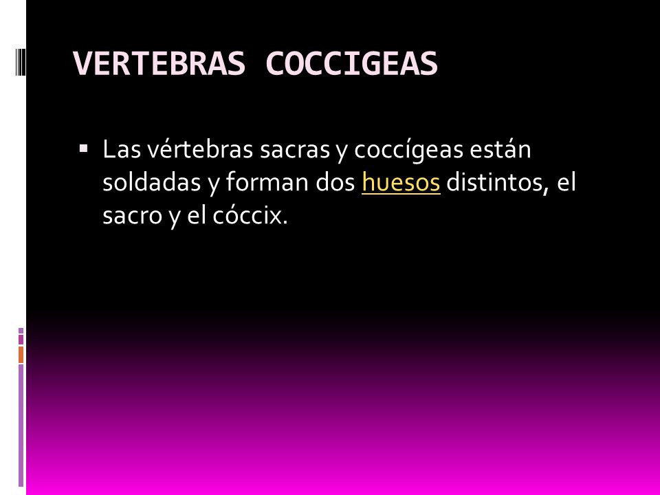 VERTEBRAS COCCIGEAS Las vértebras sacras y coccígeas están soldadas y forman dos huesos distintos, el sacro y el cóccix.