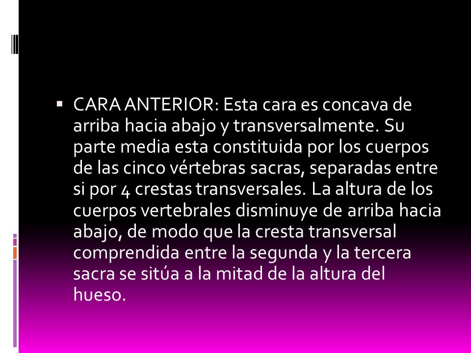 CARA ANTERIOR: Esta cara es concava de arriba hacia abajo y transversalmente.