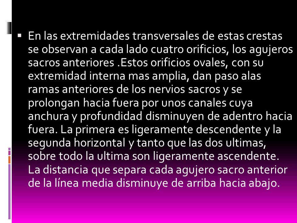 En las extremidades transversales de estas crestas se observan a cada lado cuatro orificios, los agujeros sacros anteriores .Estos orificios ovales, con su extremidad interna mas amplia, dan paso alas ramas anteriores de los nervios sacros y se prolongan hacia fuera por unos canales cuya anchura y profundidad disminuyen de adentro hacia fuera.