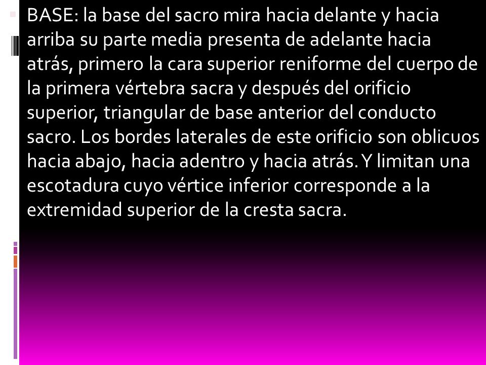 BASE: la base del sacro mira hacia delante y hacia arriba su parte media presenta de adelante hacia atrás, primero la cara superior reniforme del cuerpo de la primera vértebra sacra y después del orificio superior, triangular de base anterior del conducto sacro.