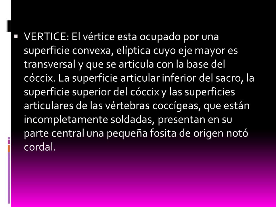 VERTICE: El vértice esta ocupado por una superficie convexa, elíptica cuyo eje mayor es transversal y que se articula con la base del cóccix.