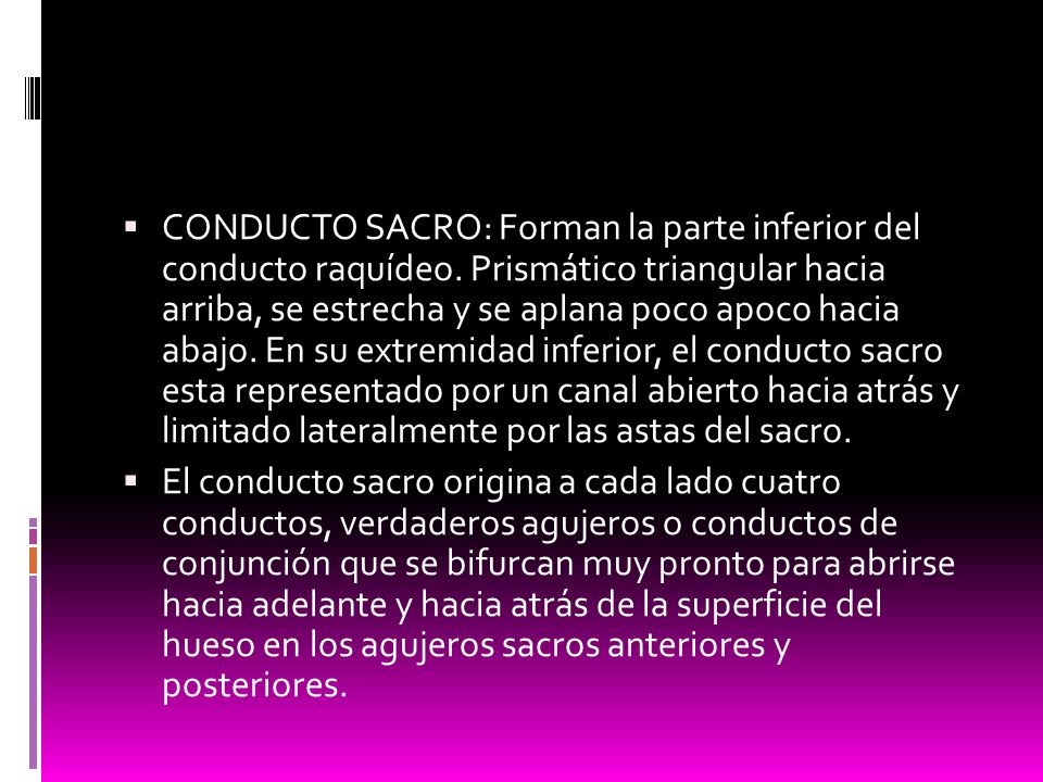 CONDUCTO SACRO: Forman la parte inferior del conducto raquídeo