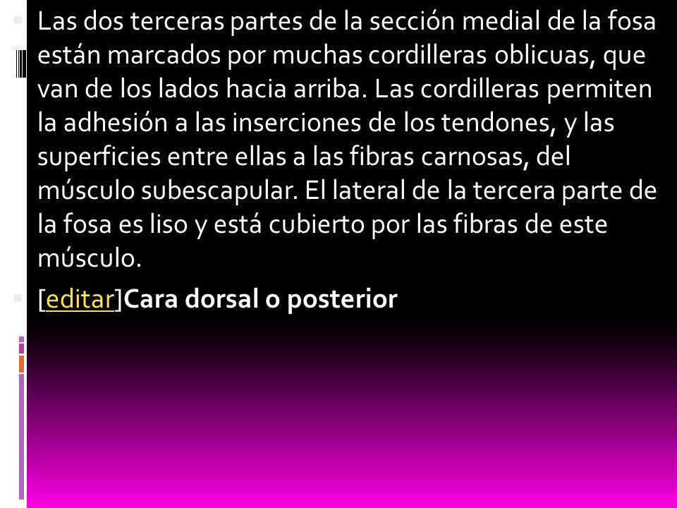 Las dos terceras partes de la sección medial de la fosa están marcados por muchas cordilleras oblicuas, que van de los lados hacia arriba. Las cordilleras permiten la adhesión a las inserciones de los tendones, y las superficies entre ellas a las fibras carnosas, del músculo subescapular. El lateral de la tercera parte de la fosa es liso y está cubierto por las fibras de este músculo.