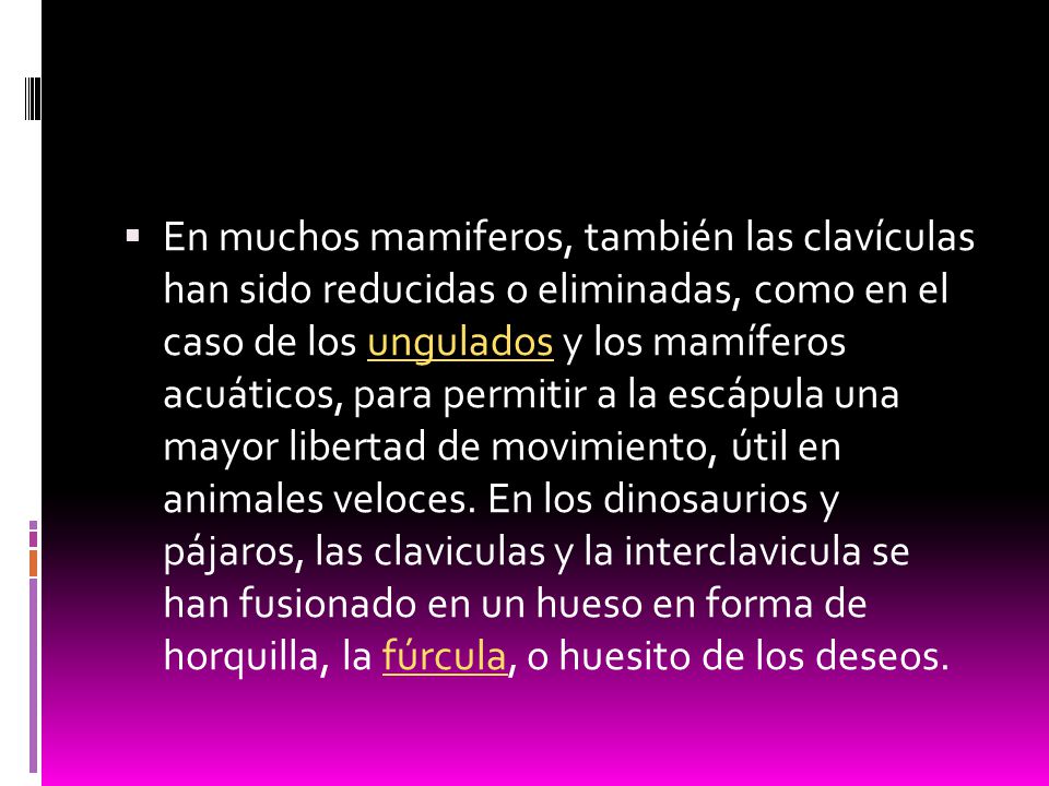En muchos mamiferos, también las clavículas han sido reducidas o eliminadas, como en el caso de los ungulados y los mamíferos acuáticos, para permitir a la escápula una mayor libertad de movimiento, útil en animales veloces.