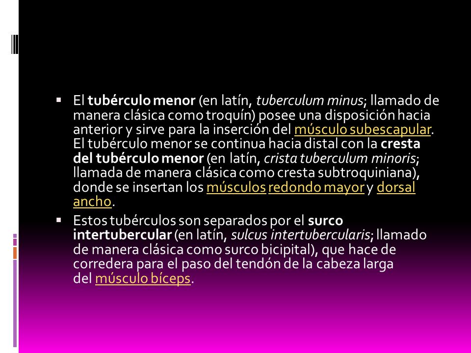 El tubérculo menor (en latín, tuberculum minus; llamado de manera clásica como troquín) posee una disposición hacia anterior y sirve para la inserción del músculo subescapular. El tubérculo menor se continua hacia distal con la cresta del tubérculo menor (en latín, crista tuberculum minoris; llamada de manera clásica como cresta subtroquiniana), donde se insertan los músculos redondo mayor y dorsal ancho.