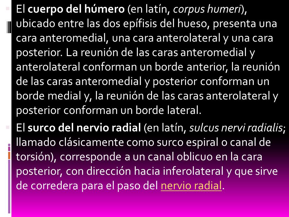 El cuerpo del húmero (en latín, corpus humeri), ubicado entre las dos epífisis del hueso, presenta una cara anteromedial, una cara anterolateral y una cara posterior. La reunión de las caras anteromedial y anterolateral conforman un borde anterior, la reunión de las caras anteromedial y posterior conforman un borde medial y, la reunión de las caras anterolateral y posterior conforman un borde lateral.