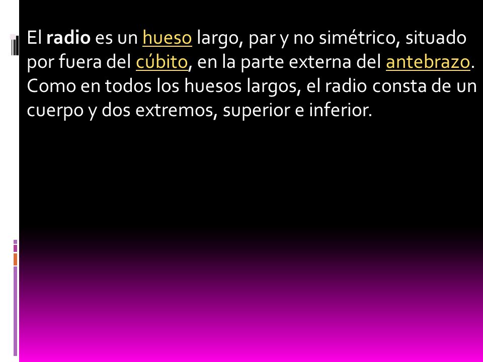 El radio es un hueso largo, par y no simétrico, situado por fuera del cúbito, en la parte externa del antebrazo.