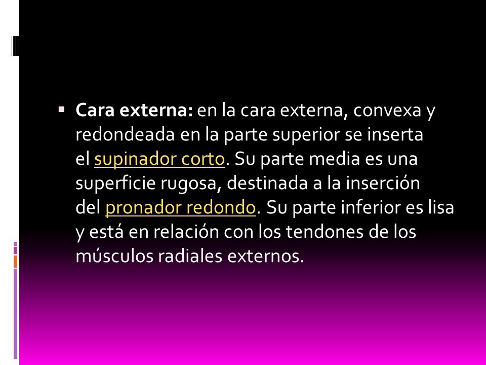 Cara externa: en la cara externa, convexa y redondeada en la parte superior se inserta el supinador corto.