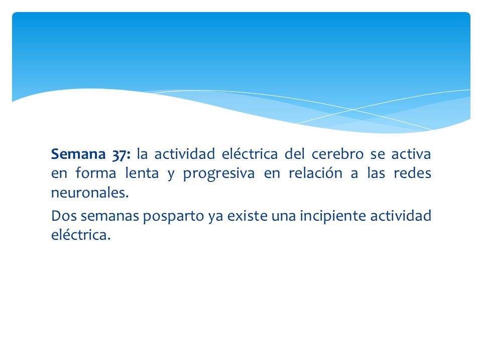 Semana 37: la actividad eléctrica del cerebro se activa en forma lenta y progresiva en relación a las redes neuronales.